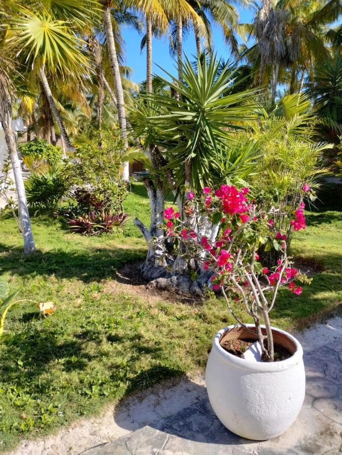 Alito Tulum Hotel Exterior photo